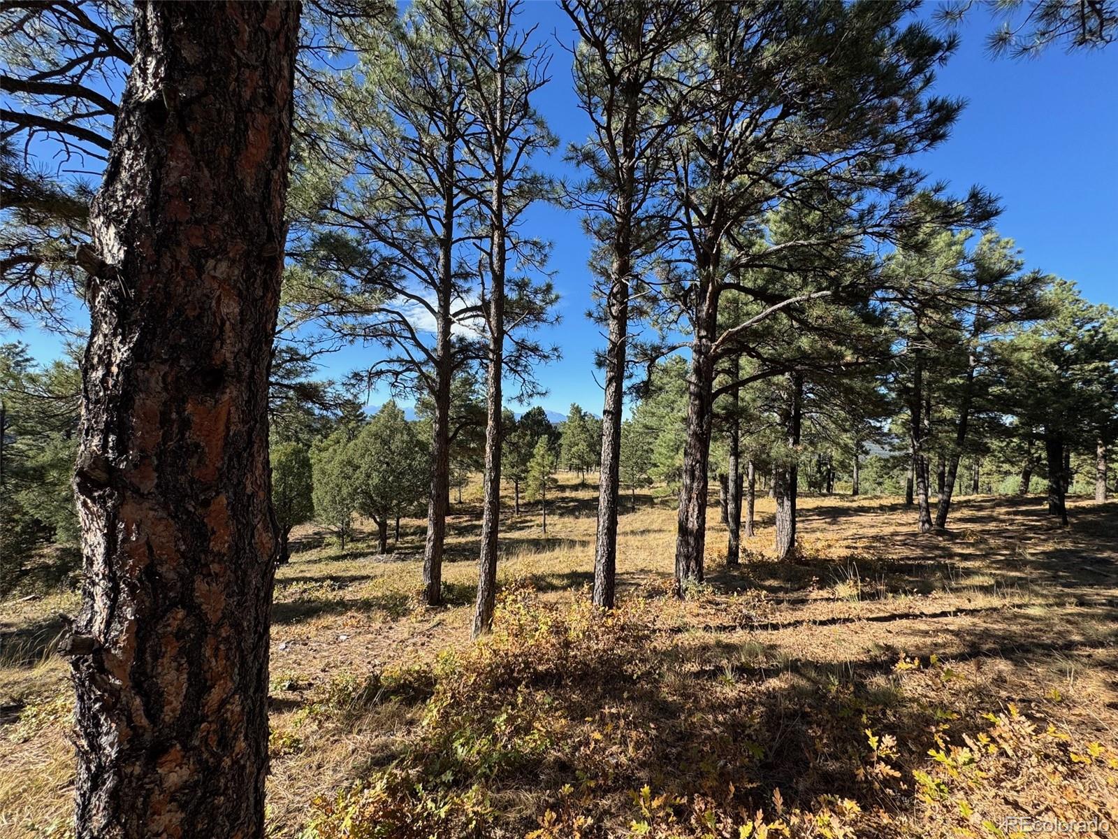 33250 Fox Trail Trinidad CO 81082