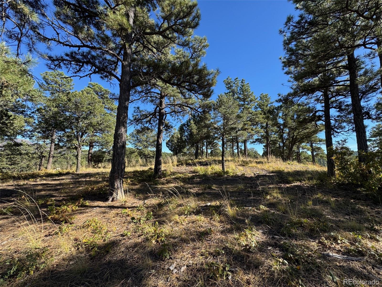 33250 Fox Trail Trinidad CO 81082