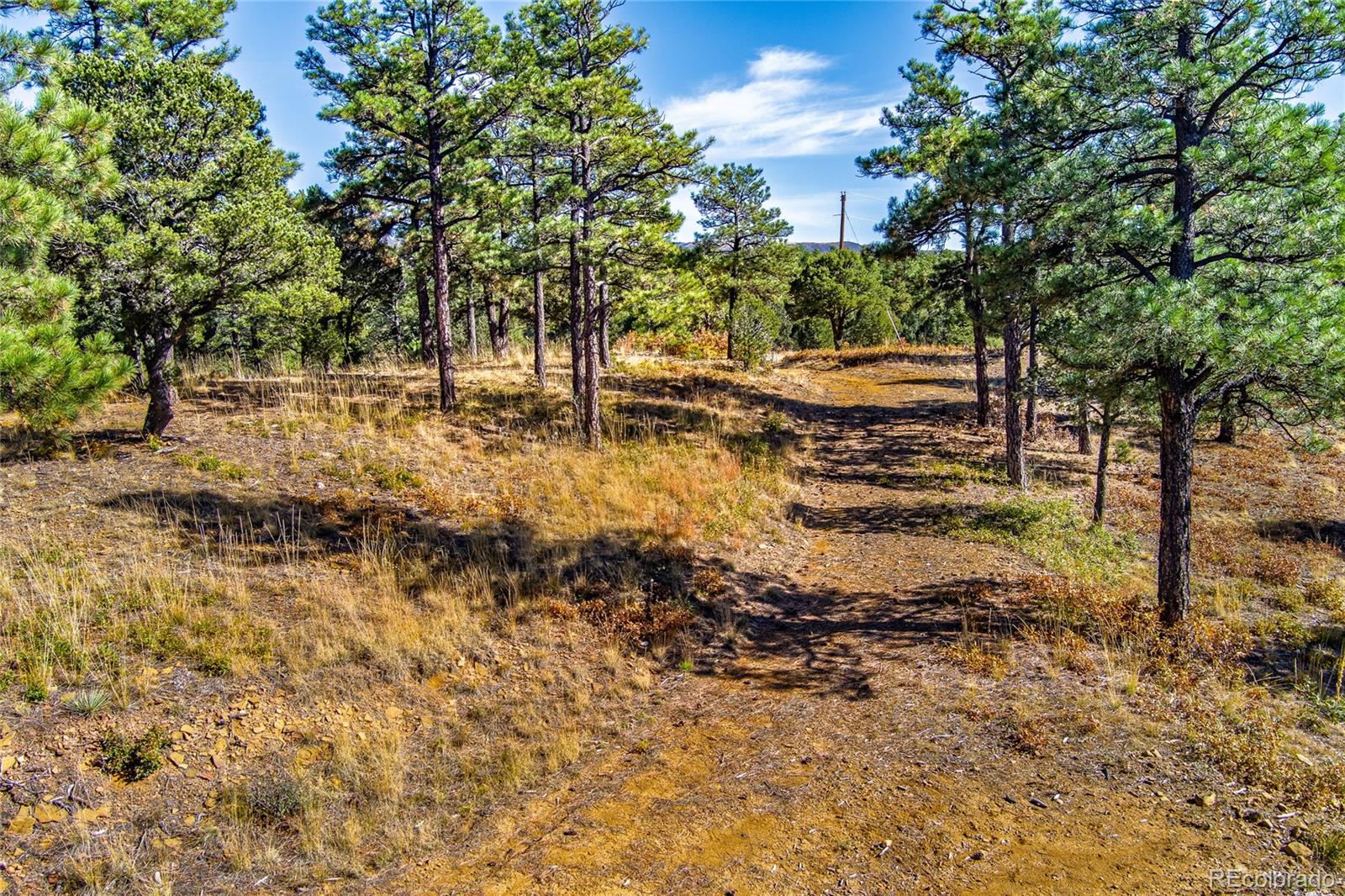 33250 Fox Trail Trinidad CO 81082