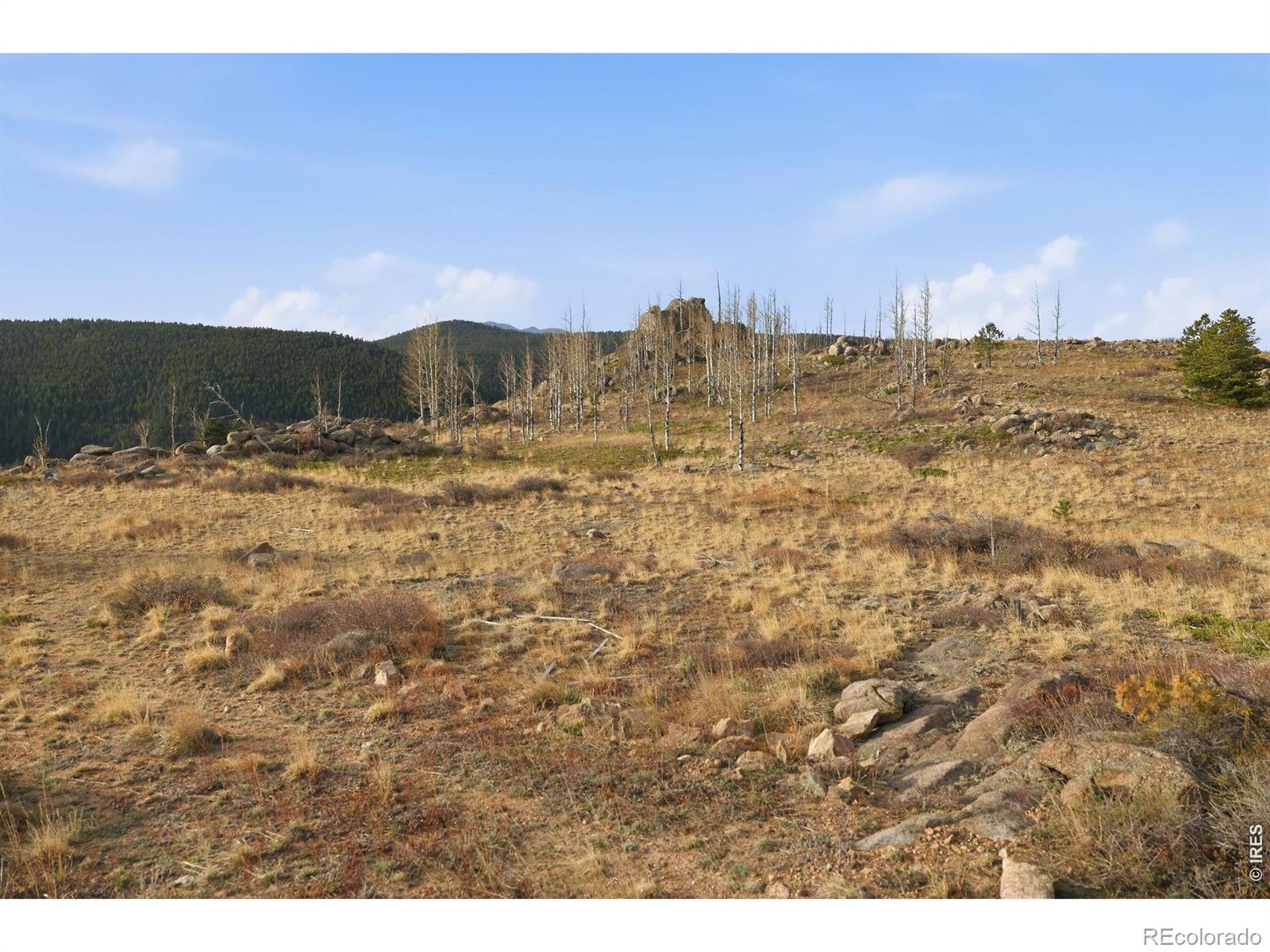 5260 Ridge Road Nederland CO 80466
