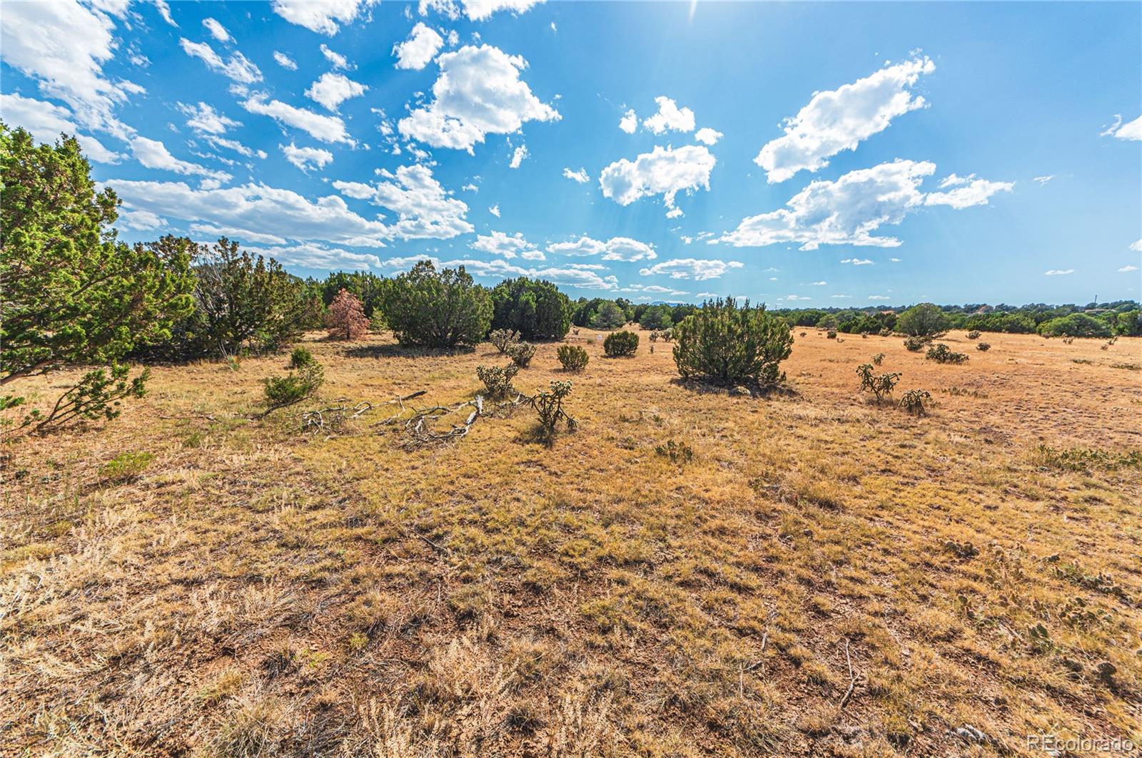 Tbd Twin Lake Ranches Lot 140 Walsenburg CO 81089