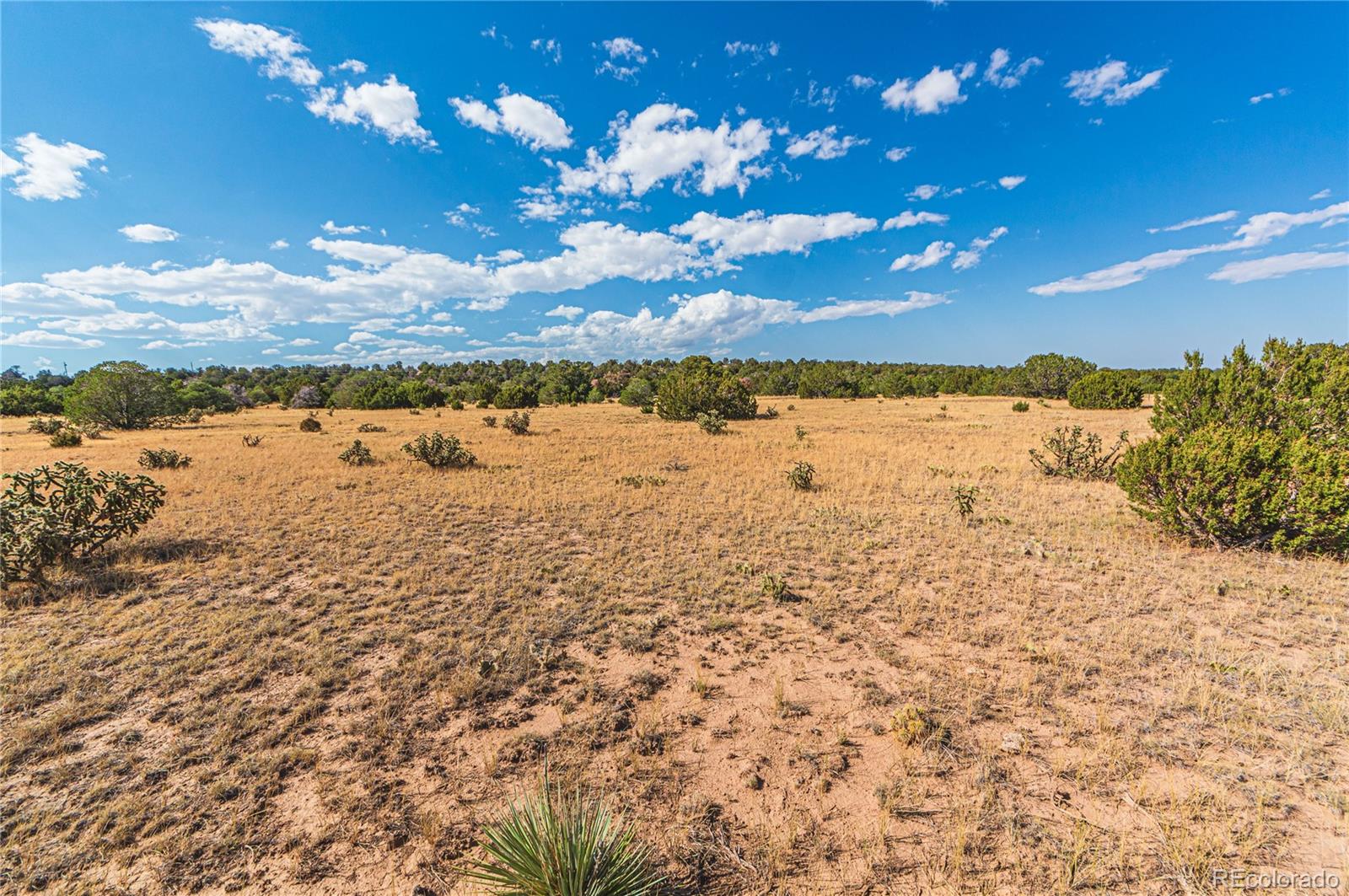 Tbd Twin Lake Ranches Lot 140 Walsenburg CO 81089