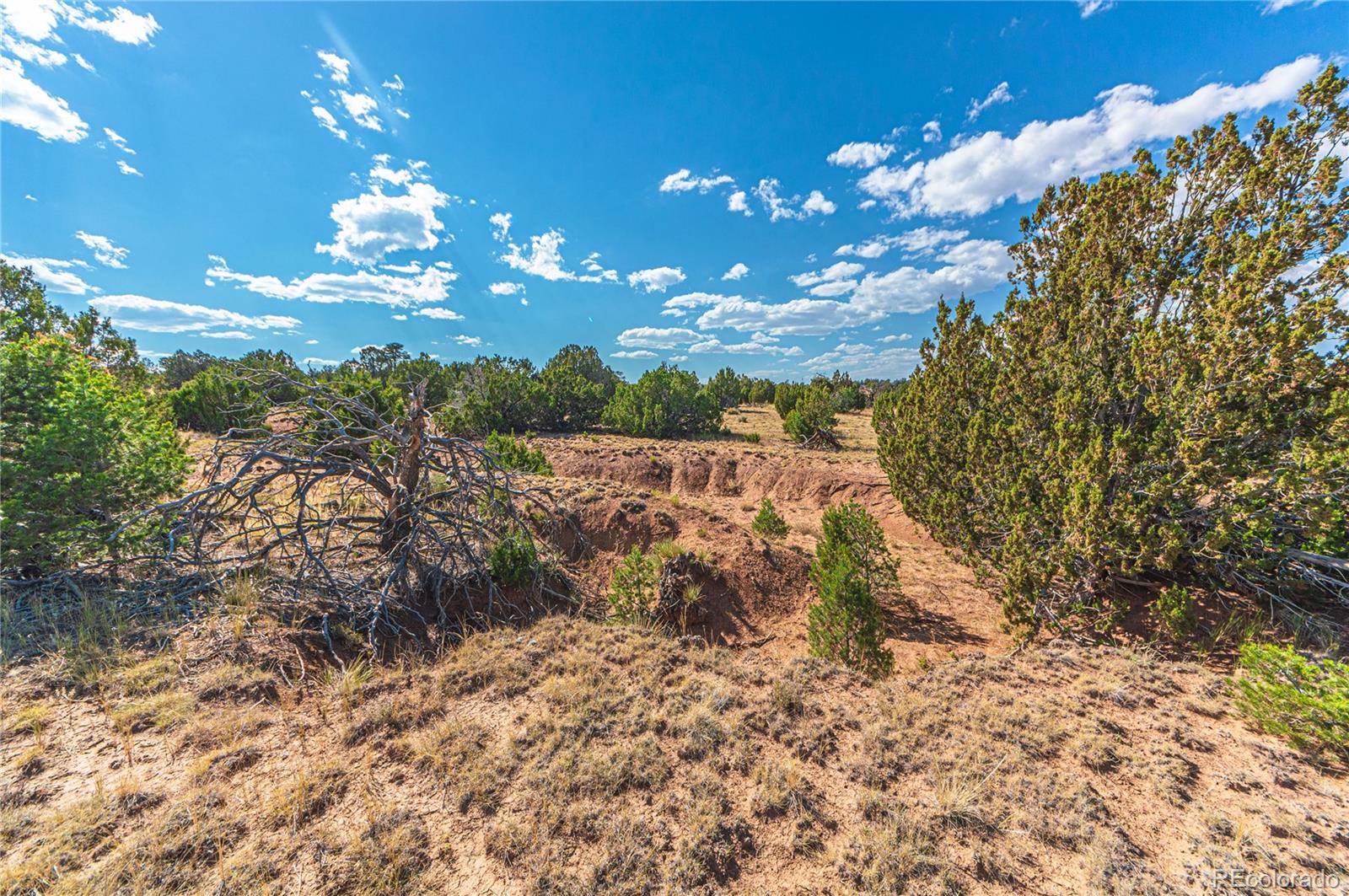 Tbd Twin Lake Ranches Lot 140 Walsenburg CO 81089