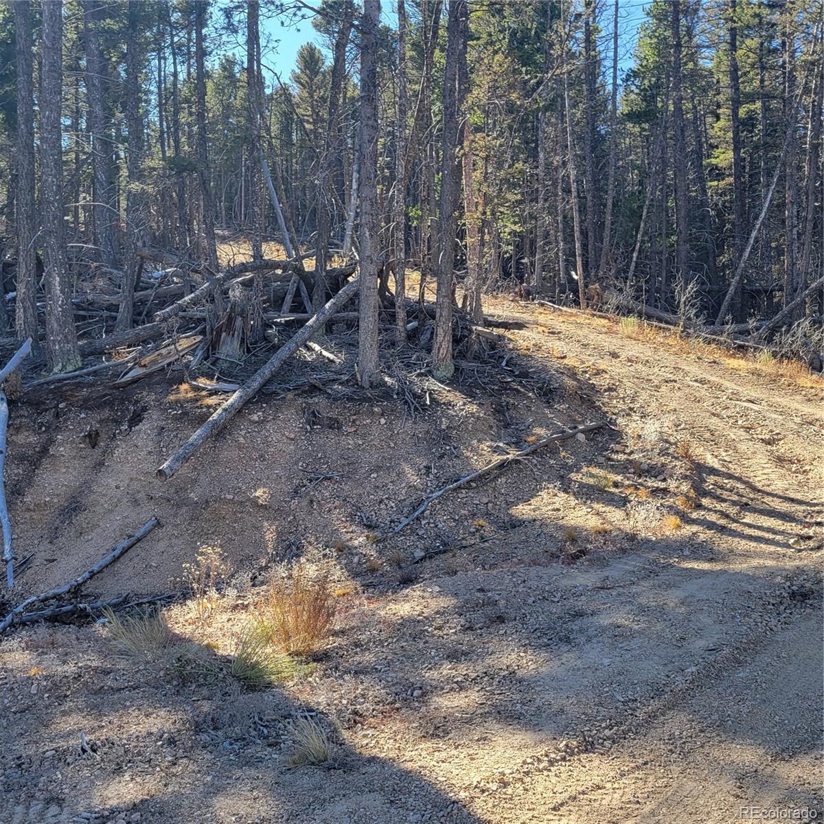 5213 Taylor Road Fort Garland CO 81133