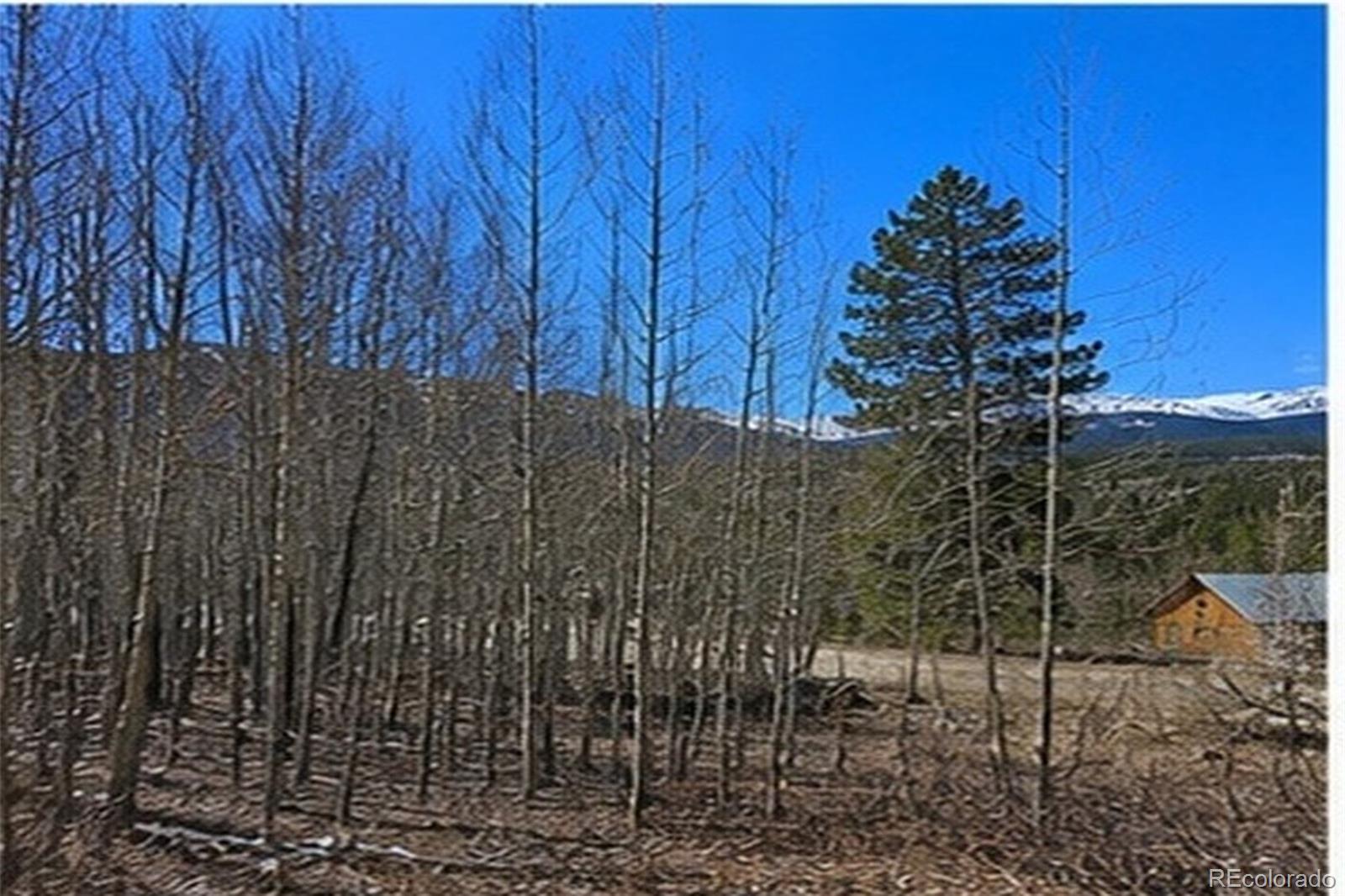 90 Shadows Drive Breckenridge CO 80424