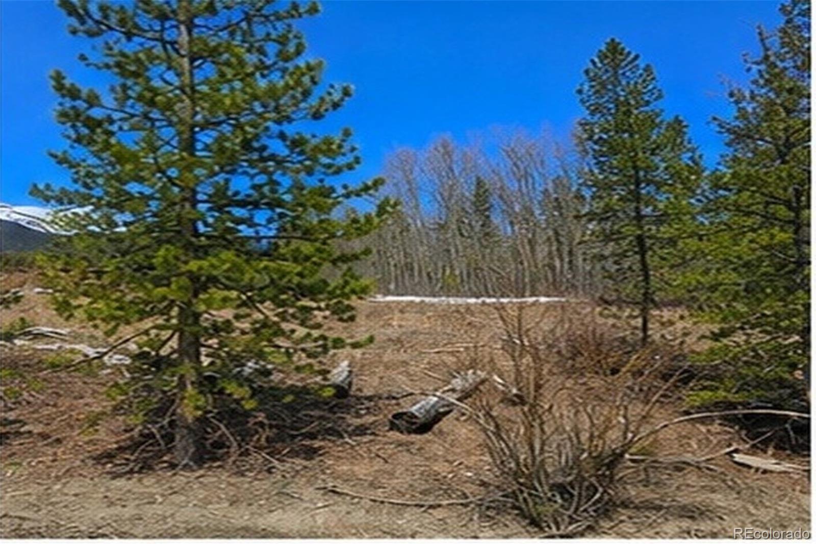 90 Shadows Drive Breckenridge CO 80424