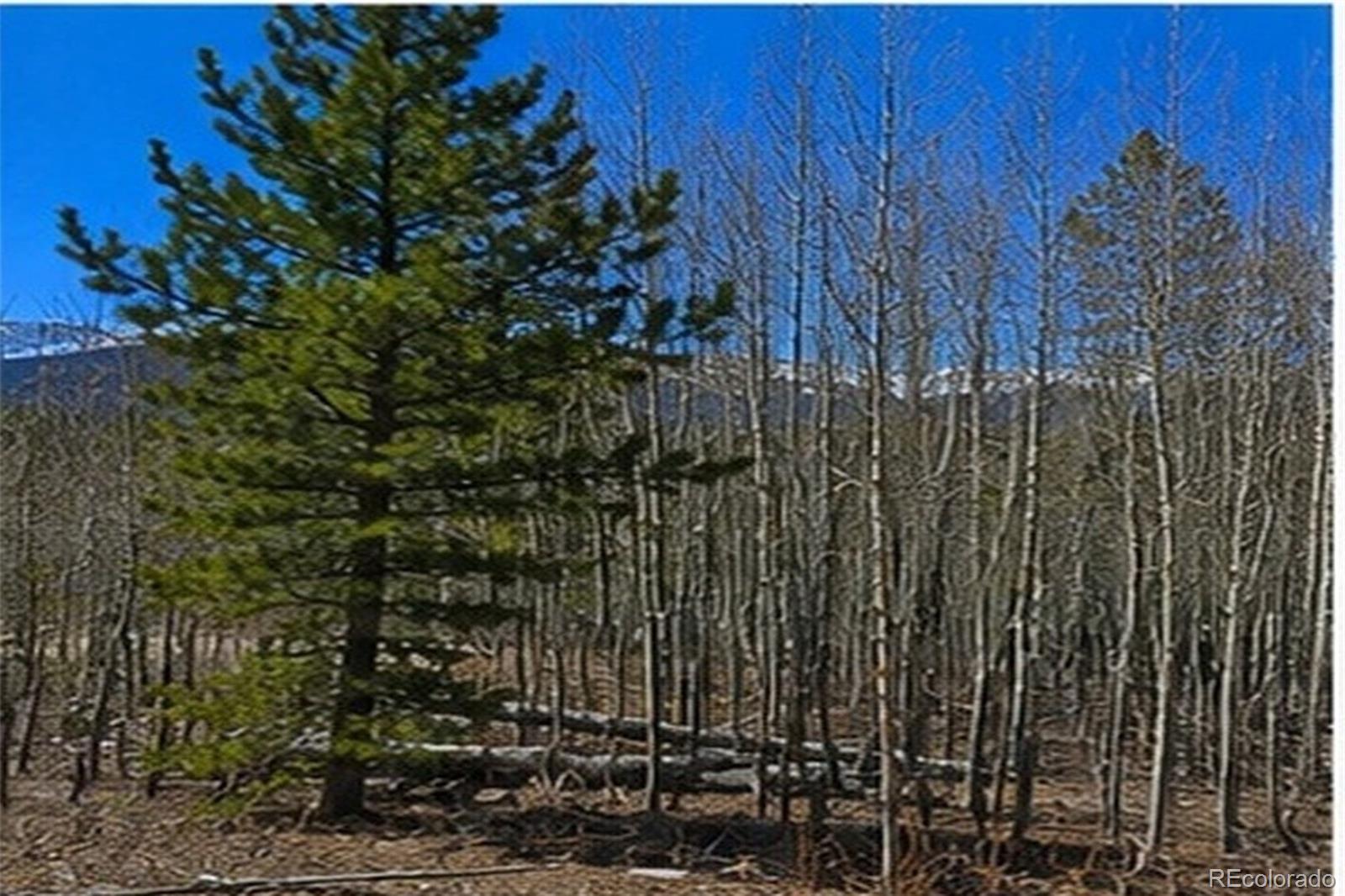 90 Shadows Drive Breckenridge CO 80424