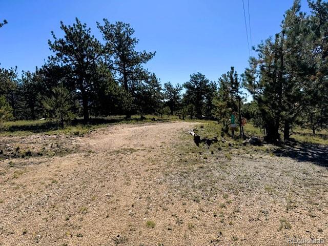 126 Zion Court Hartsel CO 80449