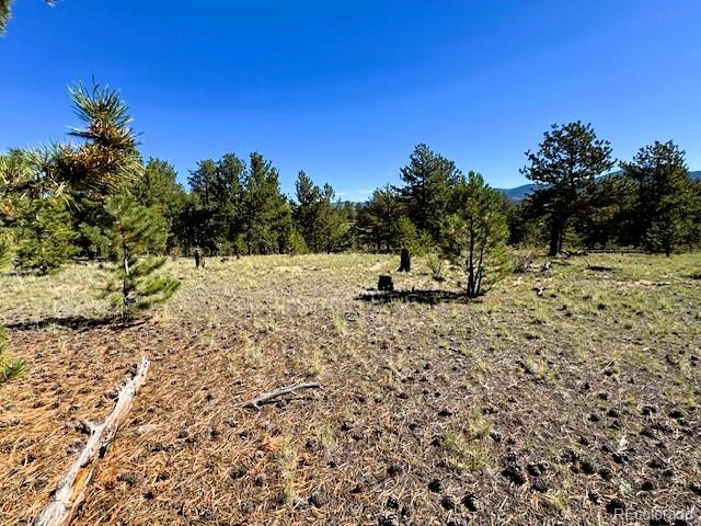 126 Zion Court Hartsel CO 80449