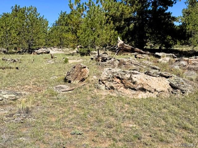 126 Zion Court Hartsel CO 80449