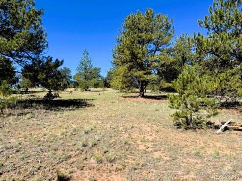 126 Zion Court Hartsel CO 80449