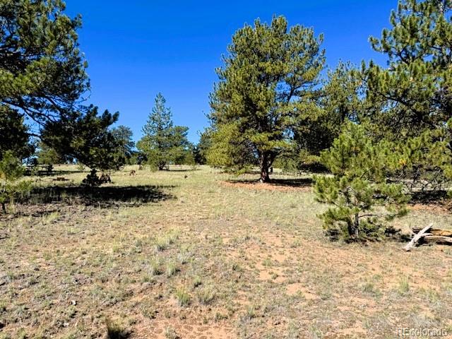 126 Zion Court Hartsel CO 80449