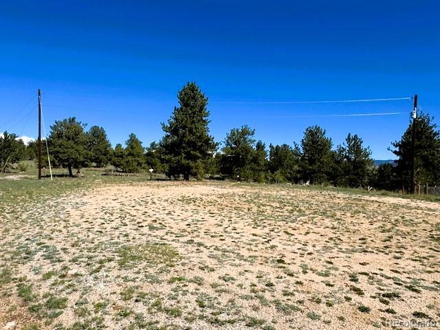 126 Zion Court Hartsel CO 80449