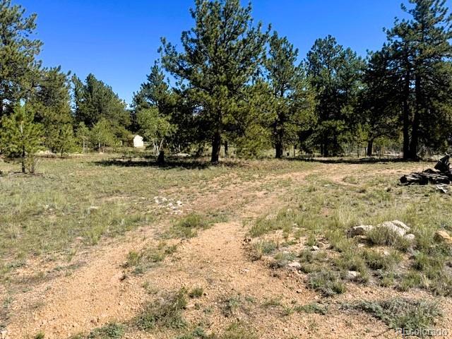 126 Zion Court Hartsel CO 80449