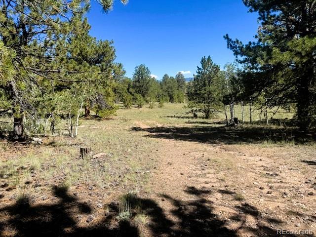 126 Zion Court Hartsel CO 80449