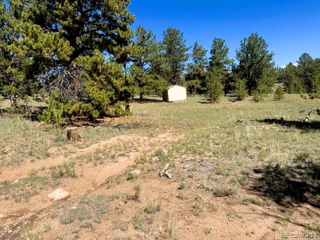 126 Zion Court Hartsel CO 80449