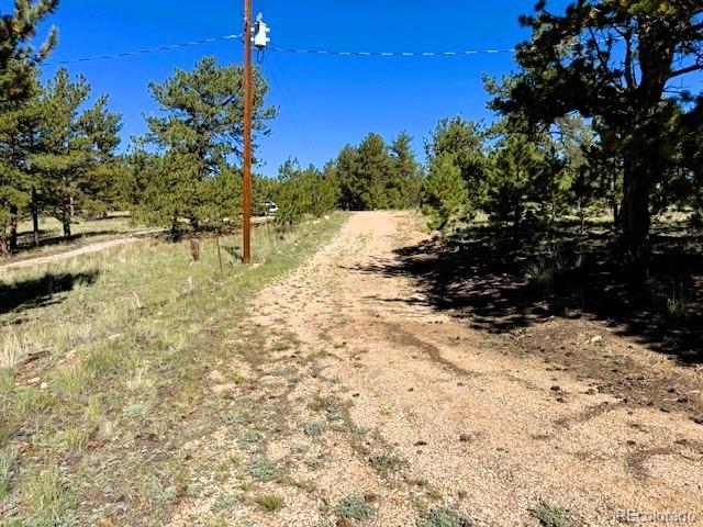 126 Zion Court Hartsel CO 80449