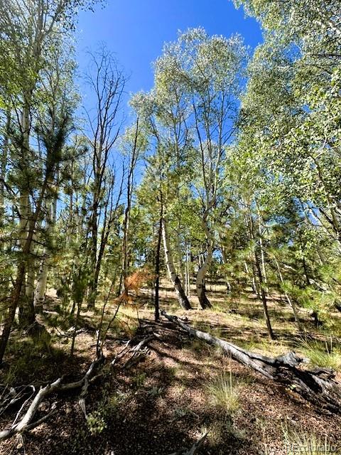 126 Zion Court Hartsel CO 80449