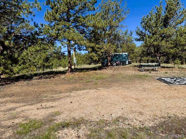 126 Zion Court Hartsel CO 80449