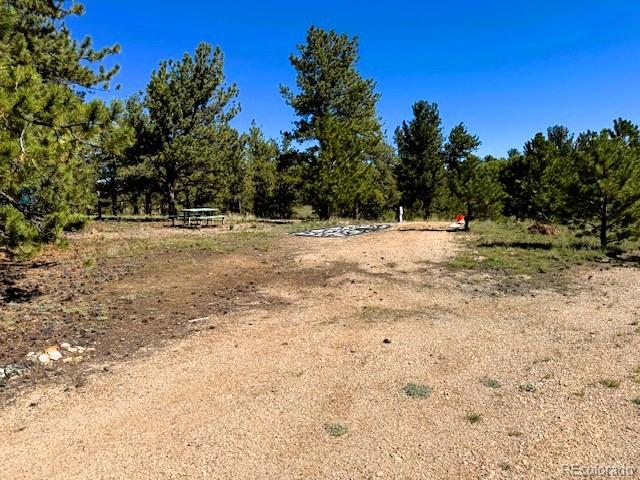 126 Zion Court Hartsel CO 80449