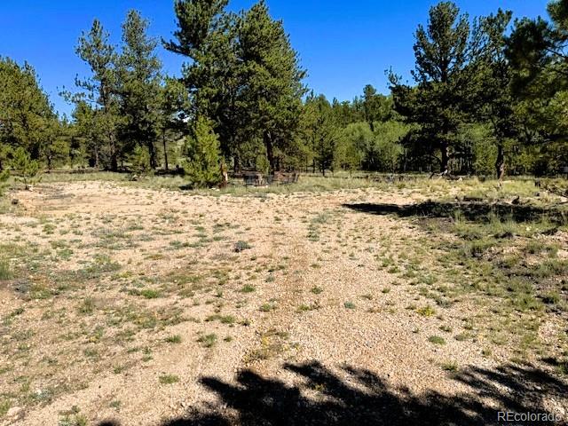 126 Zion Court Hartsel CO 80449