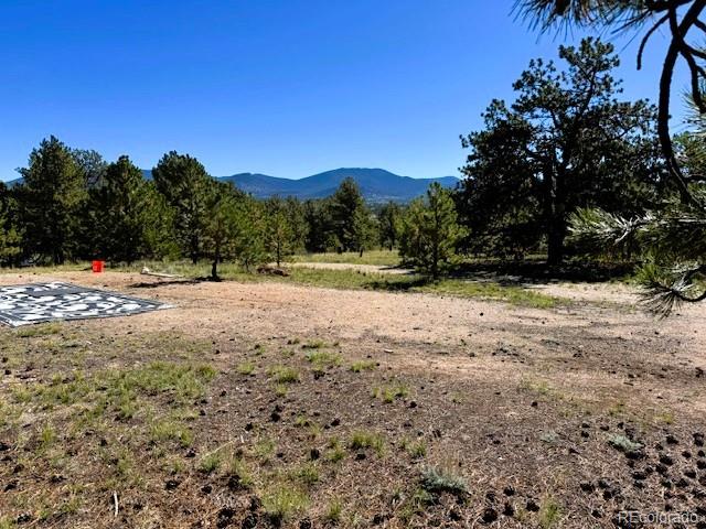 126 Zion Court Hartsel CO 80449