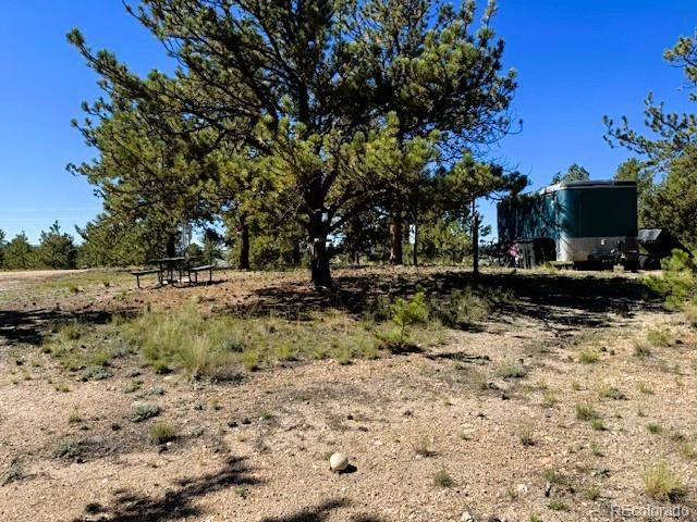 126 Zion Court Hartsel CO 80449