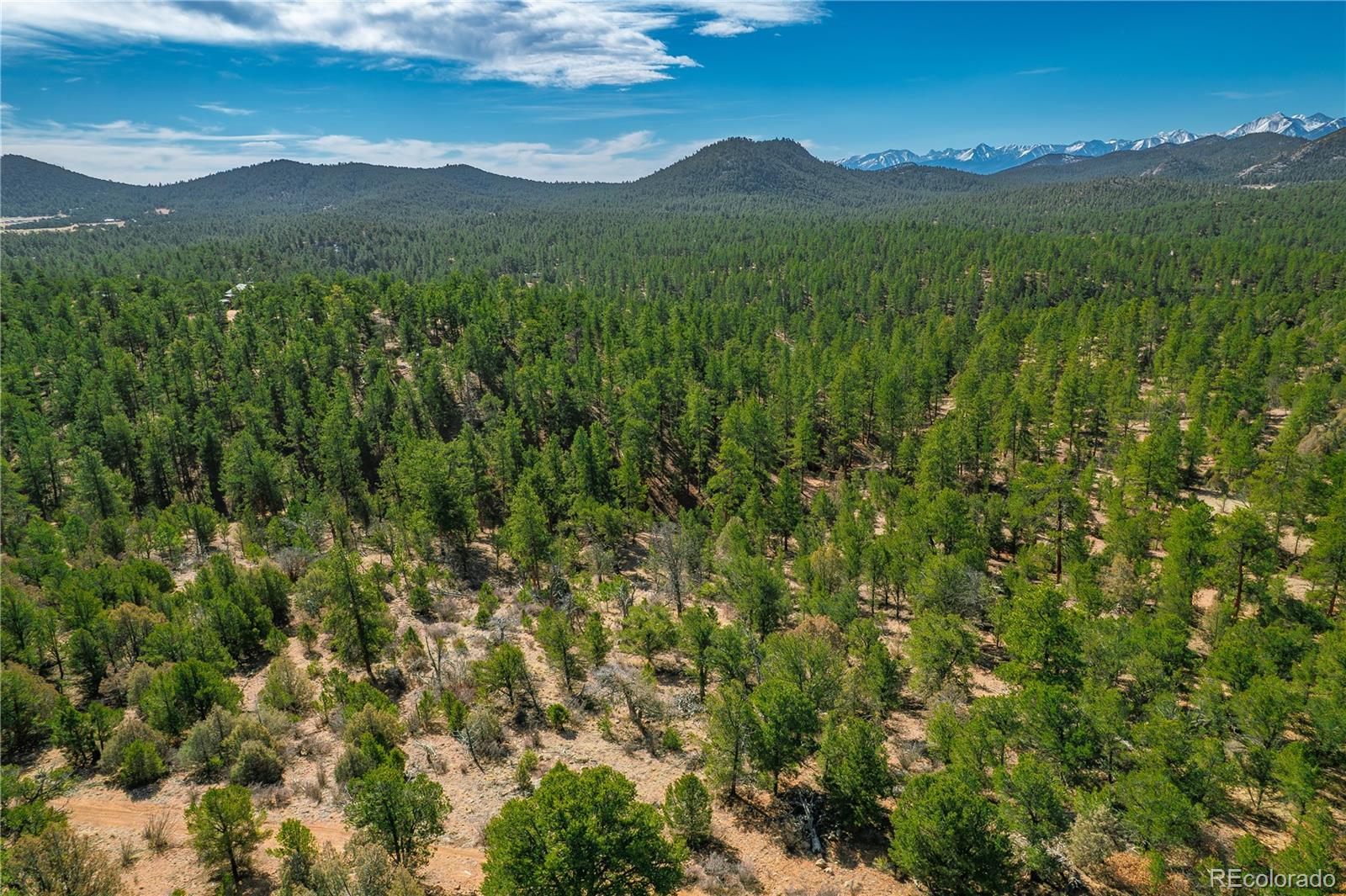 588 8th Street Cotopaxi CO 81223