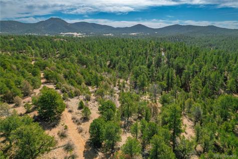 588 8th Street Cotopaxi CO 81223