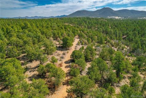 588 8th Street Cotopaxi CO 81223