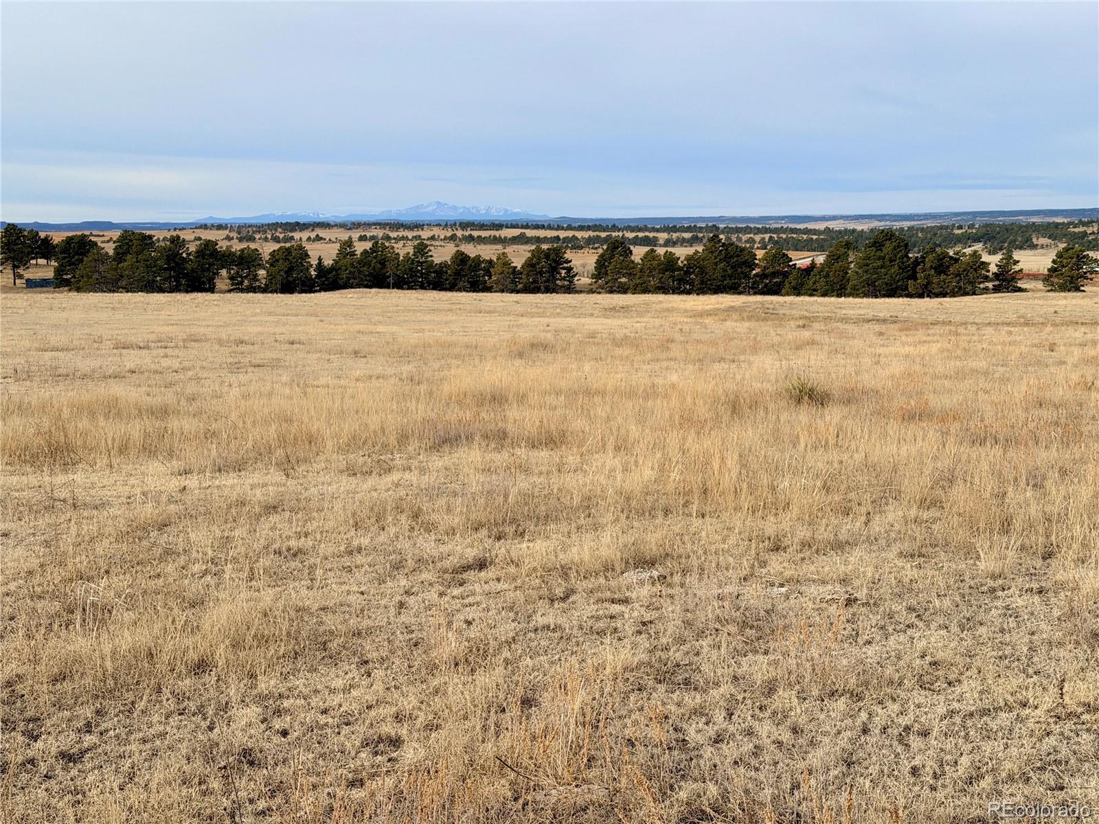 07 County Road 122 Ramah CO 80832