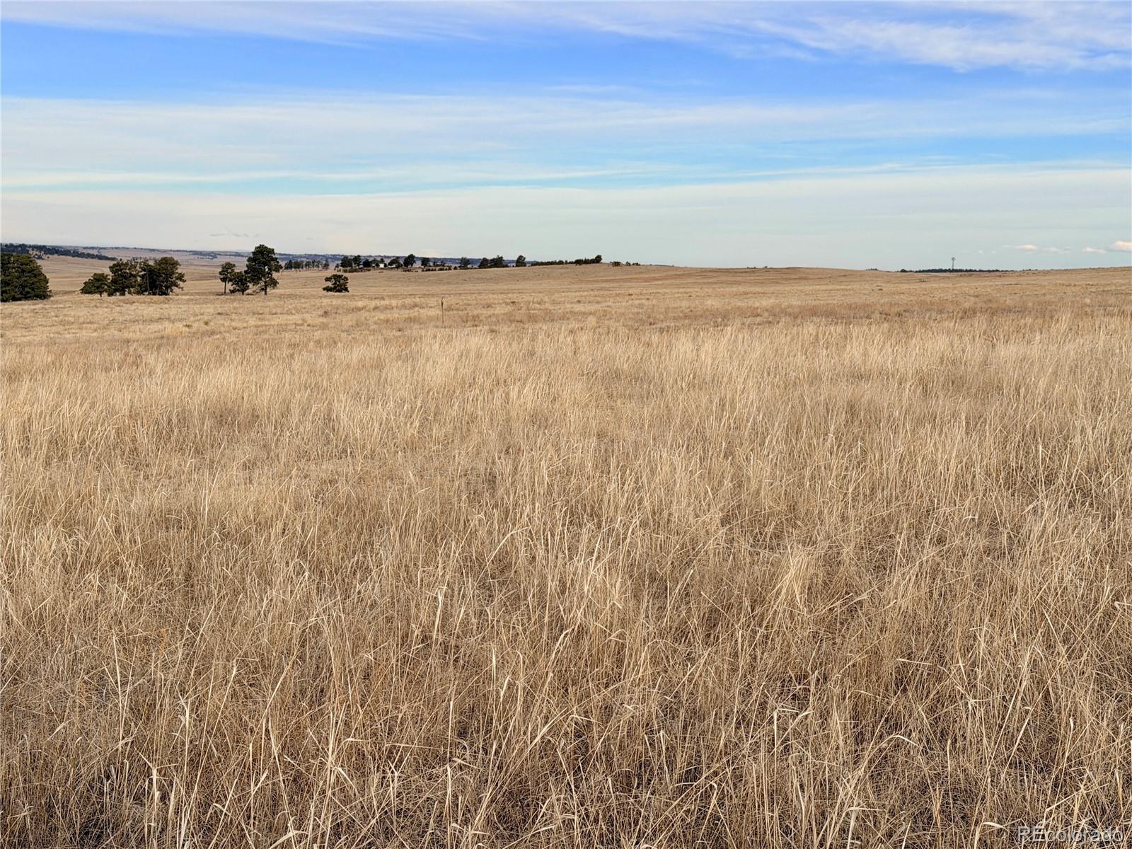 07 County Road 122 Ramah CO 80832