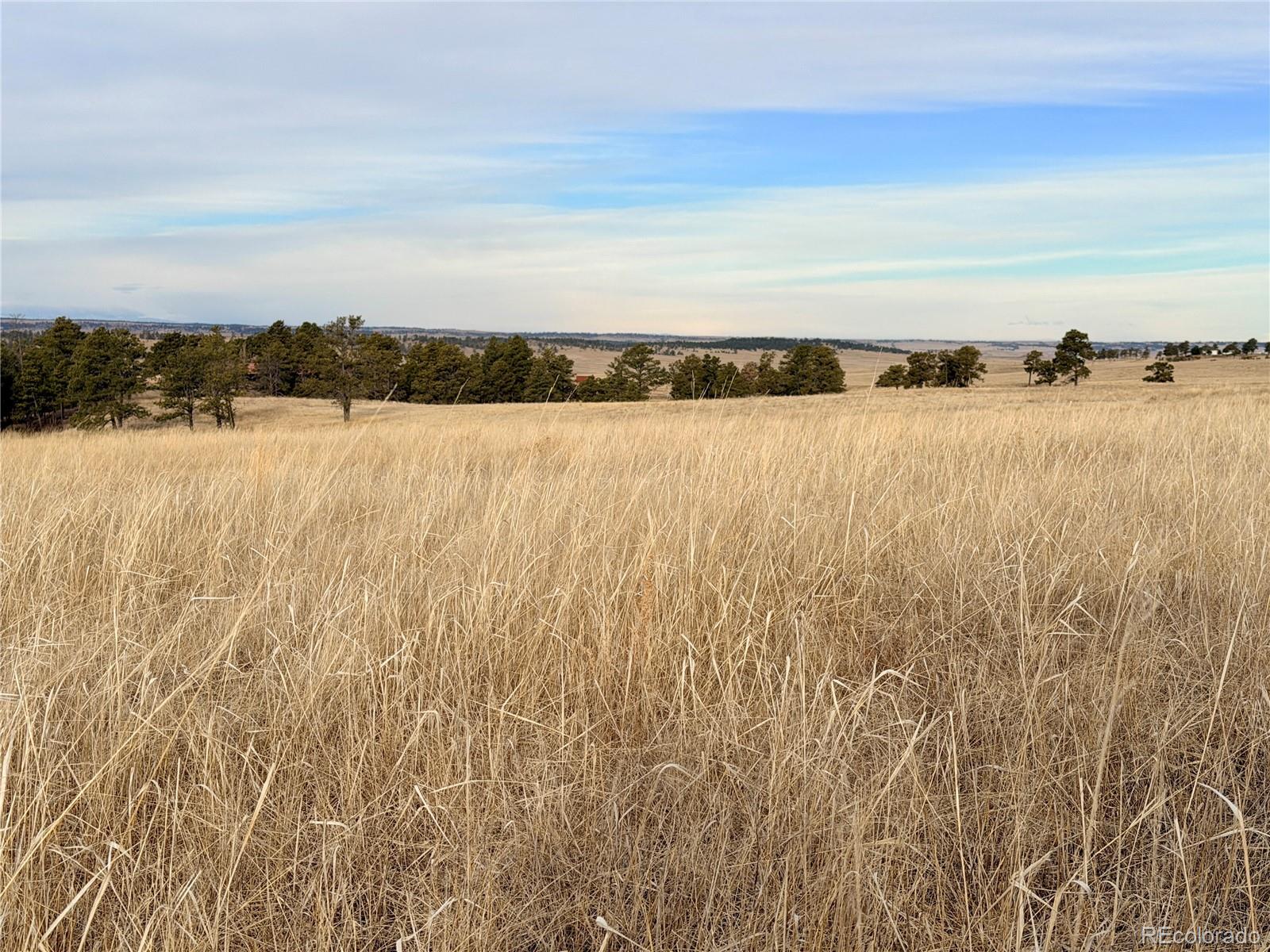 07 County Road 122 Ramah CO 80832