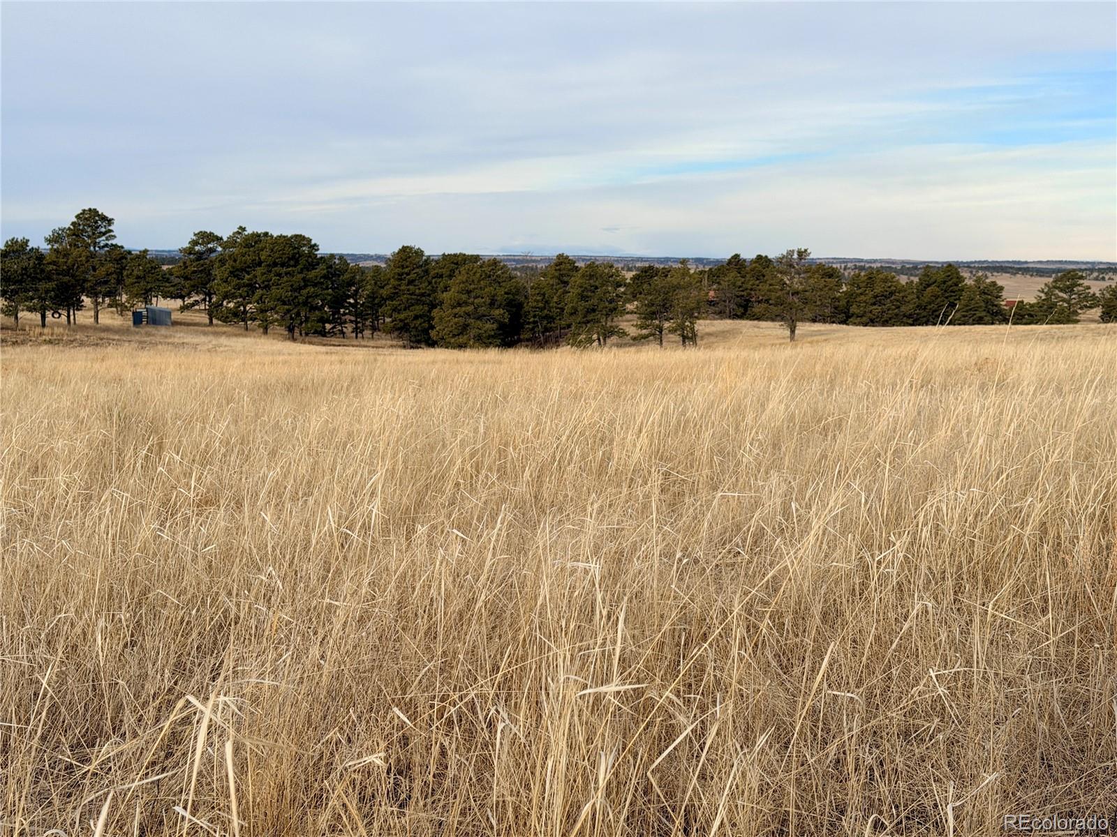 07 County Road 122 Ramah CO 80832