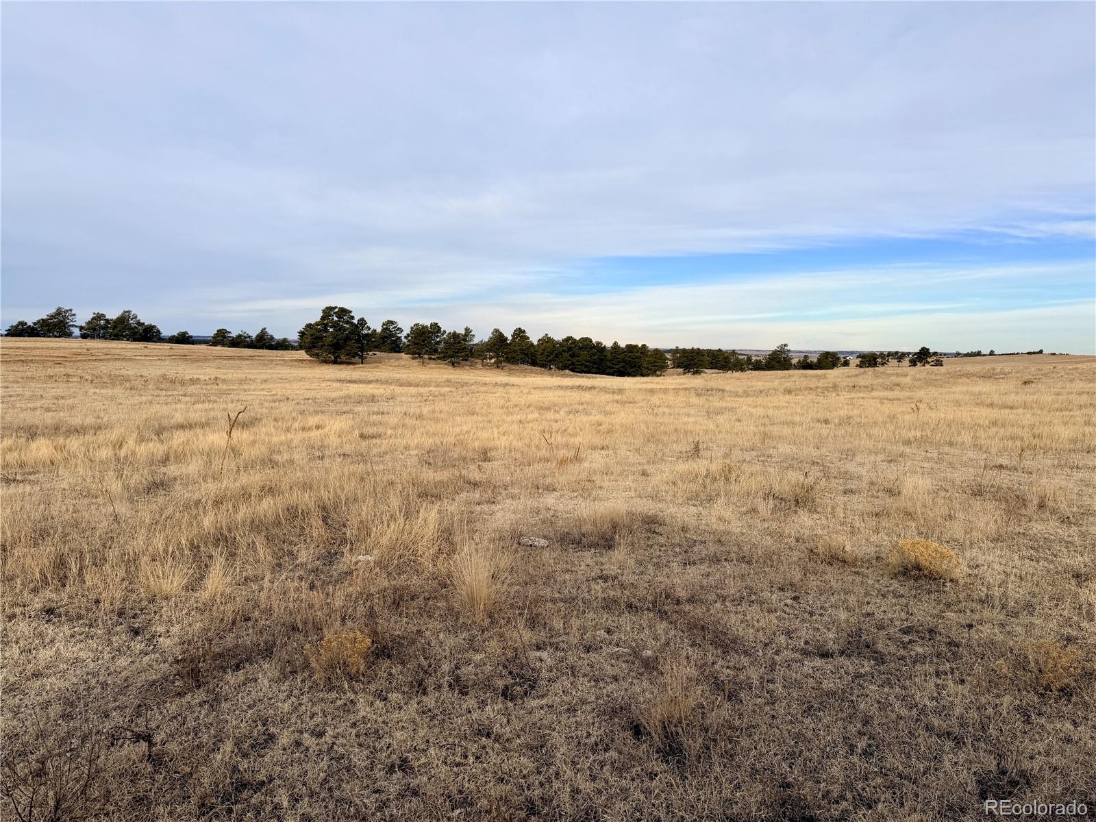 07 County Road 122 Ramah CO 80832