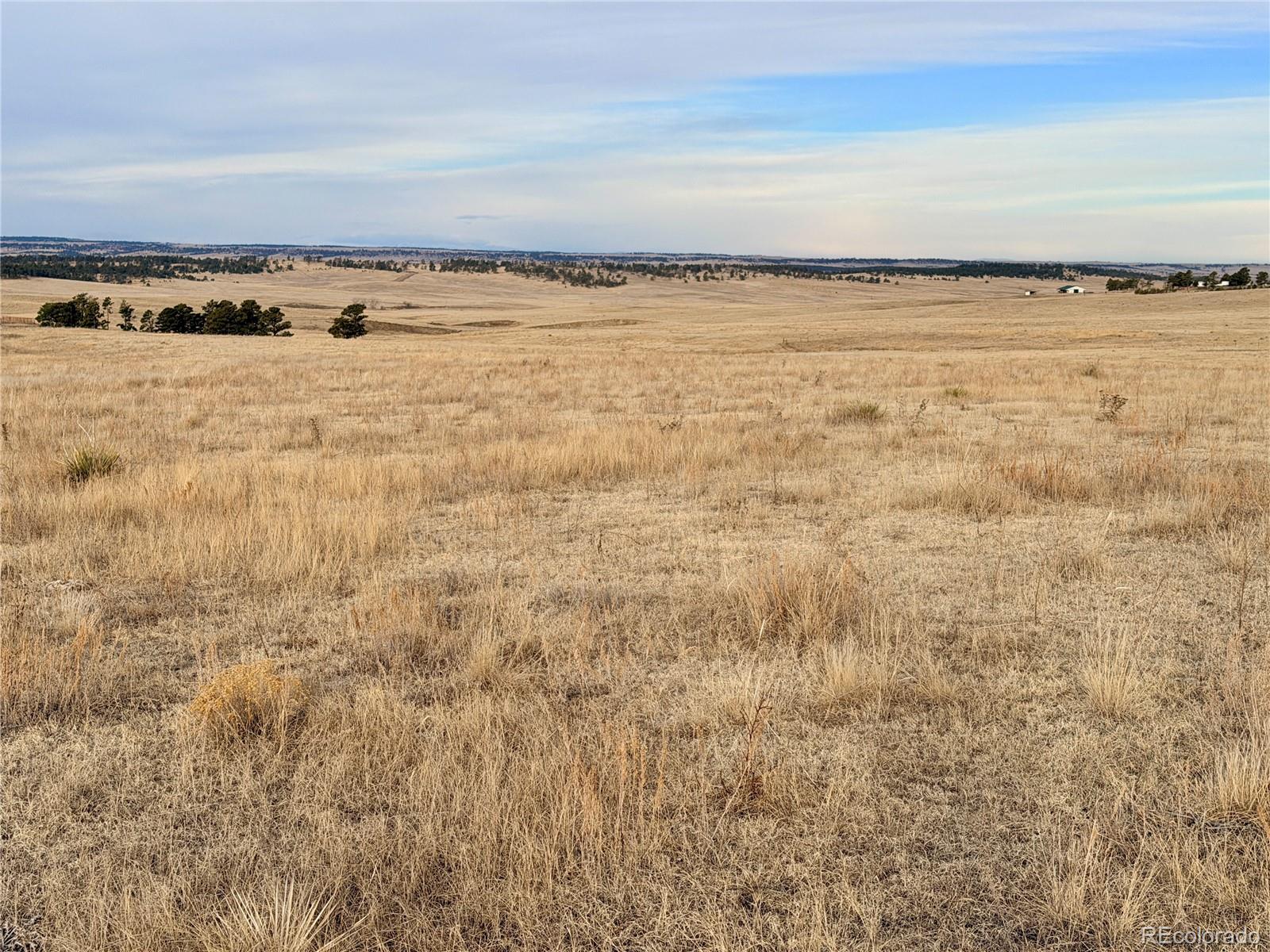 07 County Road 122 Ramah CO 80832
