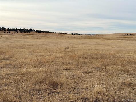 07 County Road 122 Ramah CO 80832