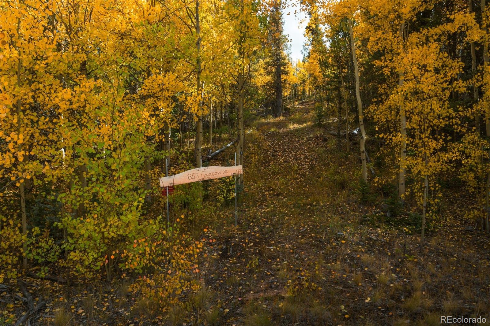 853 W Longbow Drive Como CO 80432