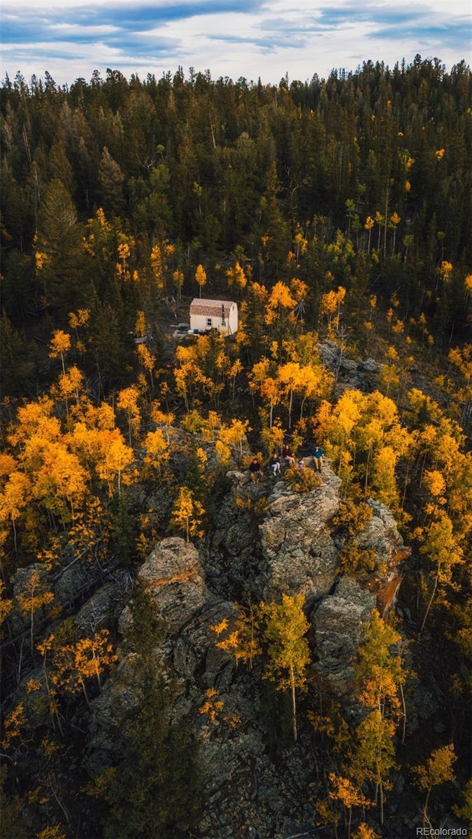 853 W Longbow Drive Como CO 80432