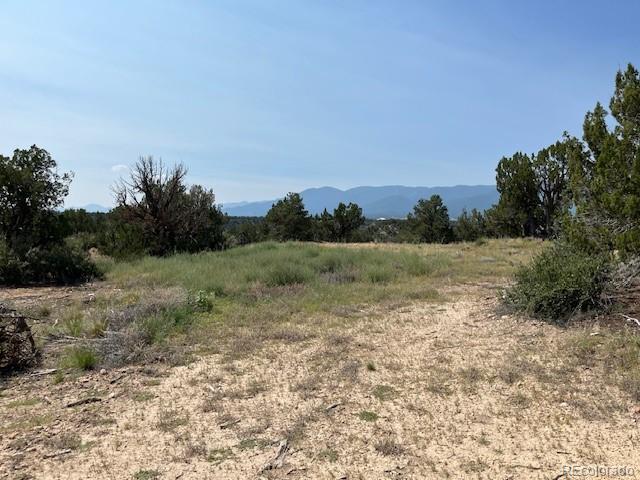 Tbd Lot 8 Newlin Ridge Road Florence CO 81226