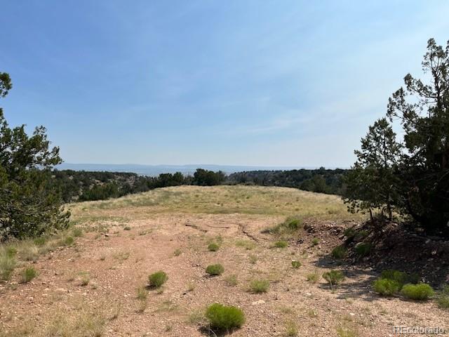 Tbd Lot 8 Newlin Ridge Road Florence CO 81226