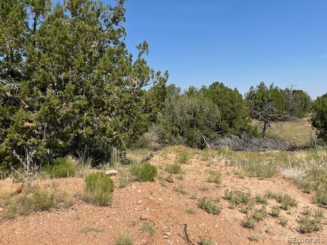 Tbd Lot 8 Newlin Ridge Road Florence CO 81226