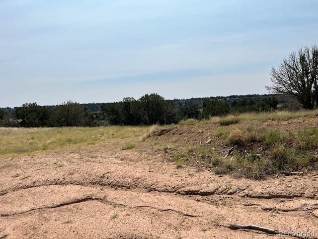 Tbd Lot 8 Newlin Ridge Road Florence CO 81226