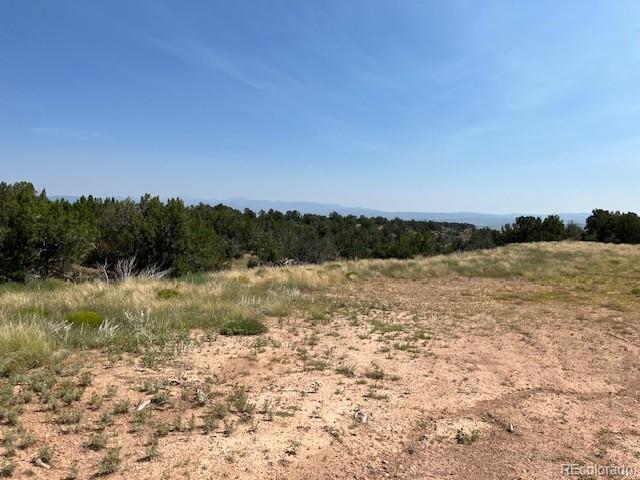 Tbd Lot 8 Newlin Ridge Road Florence CO 81226