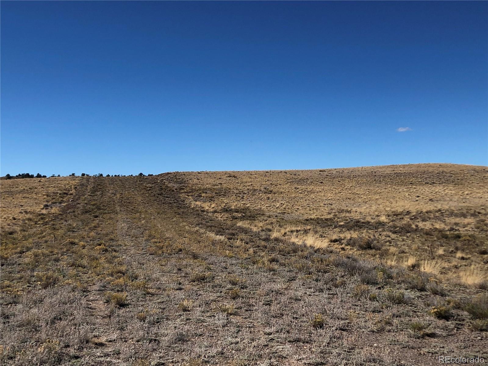 2972 Jumano Trail Hartsel CO 80449