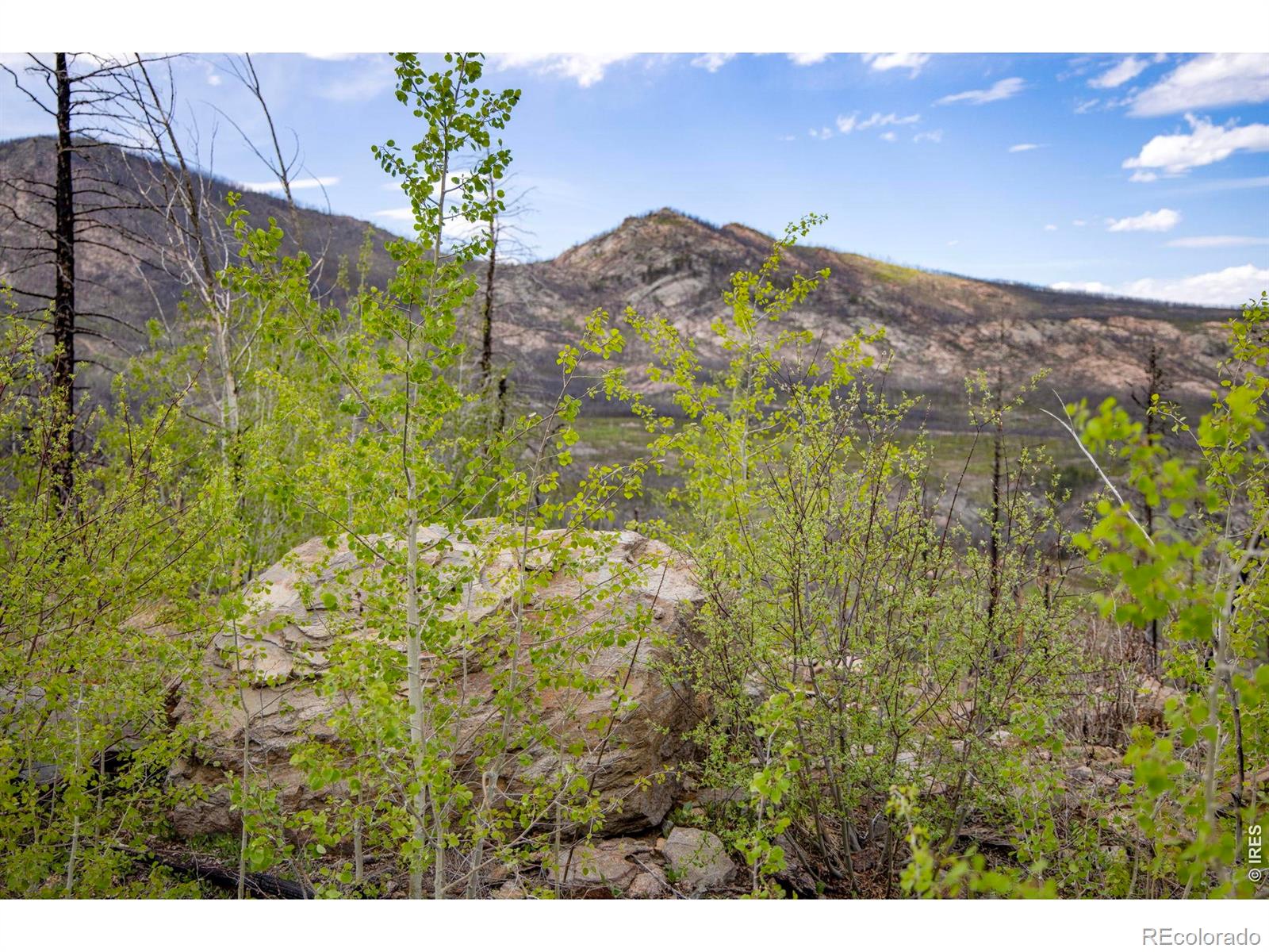 805 Meadows Drive Drake CO 80515