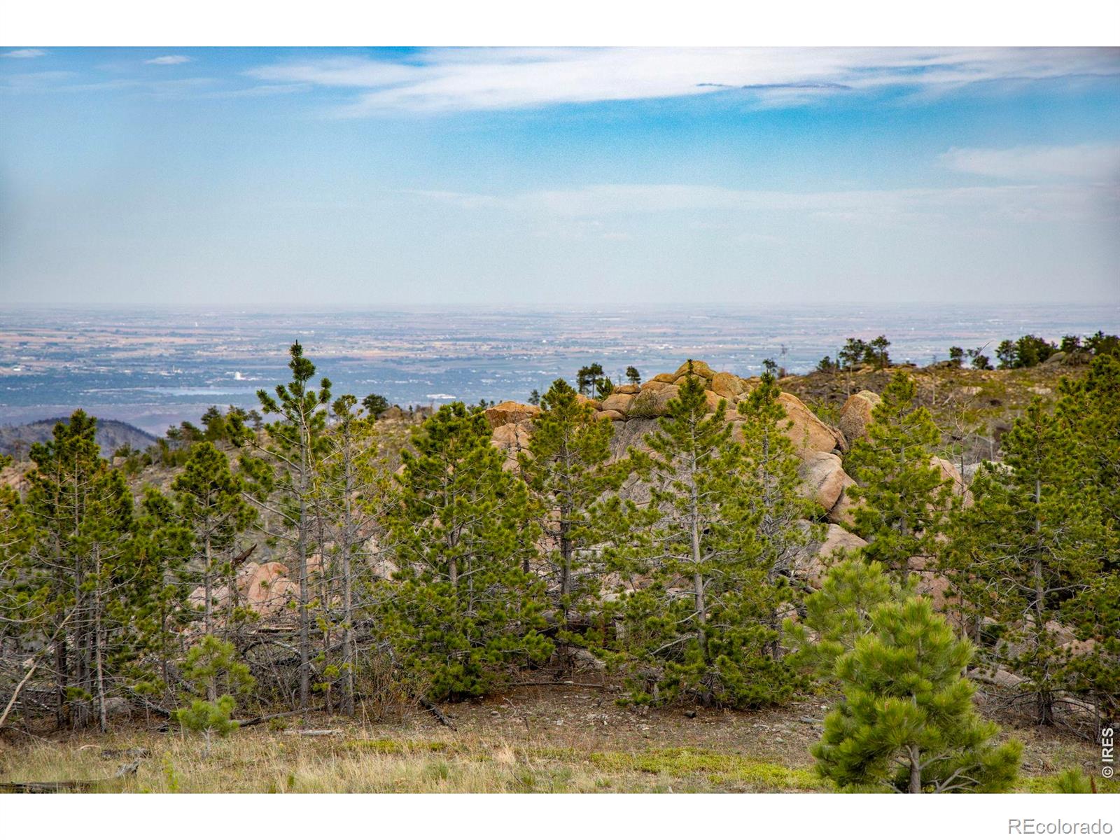 805 Meadows Drive Drake CO 80515