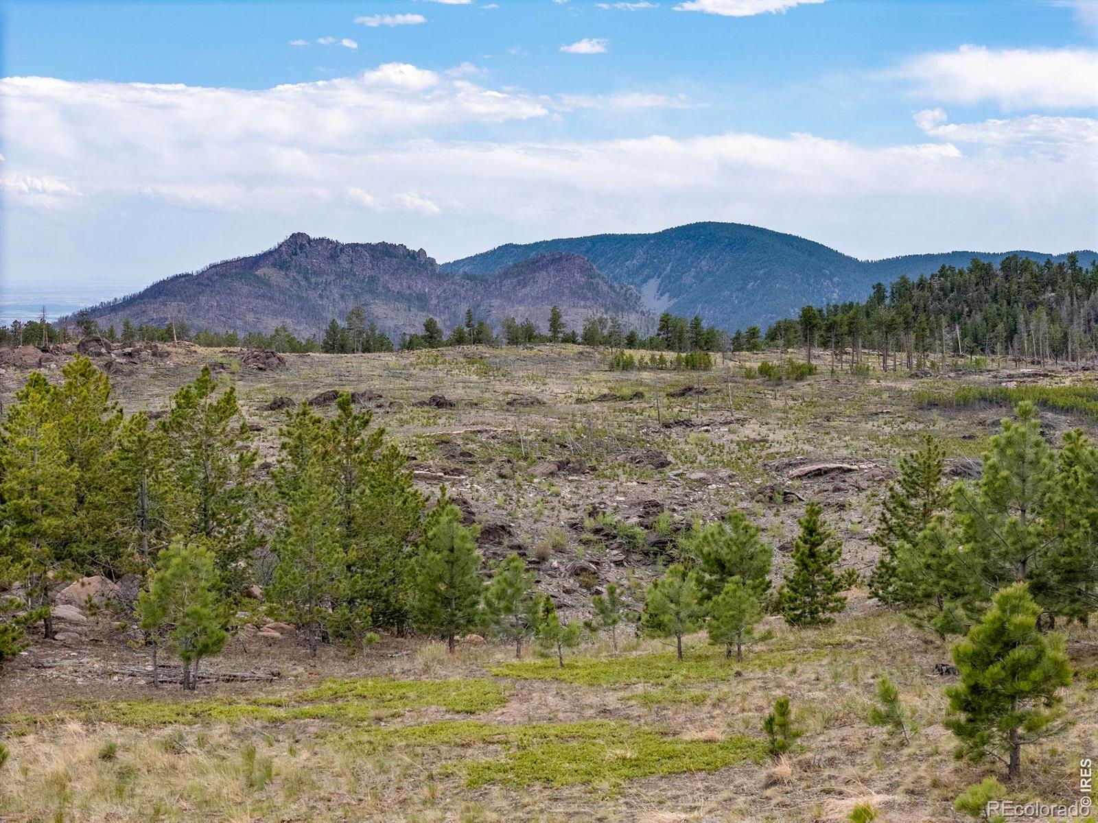805 Meadows Drive Drake CO 80515