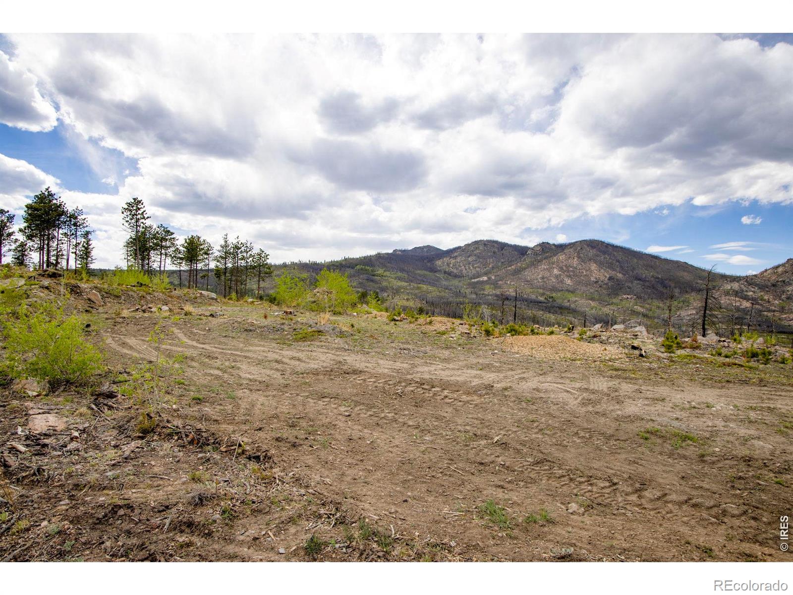 805 Meadows Drive Drake CO 80515