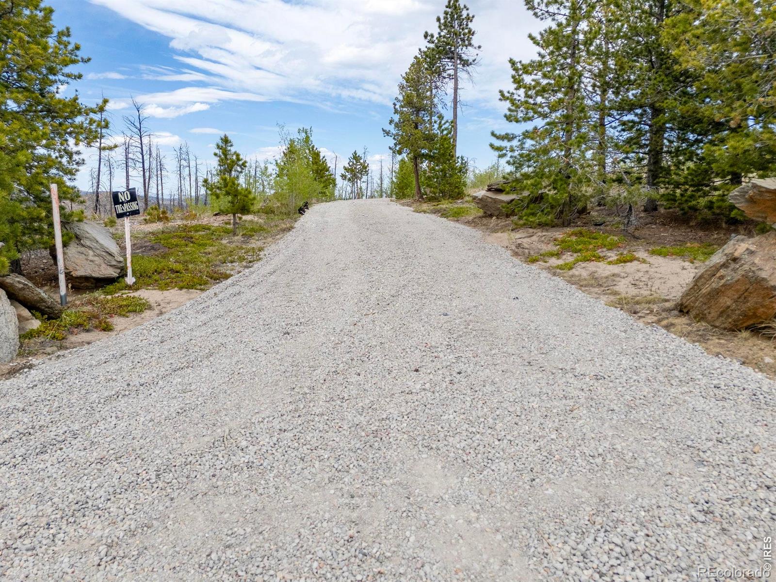 805 Meadows Drive Drake CO 80515